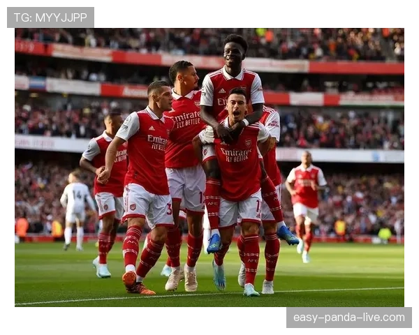 努涅斯的战术适配困境：角色定位与发挥受限的关键因素分析